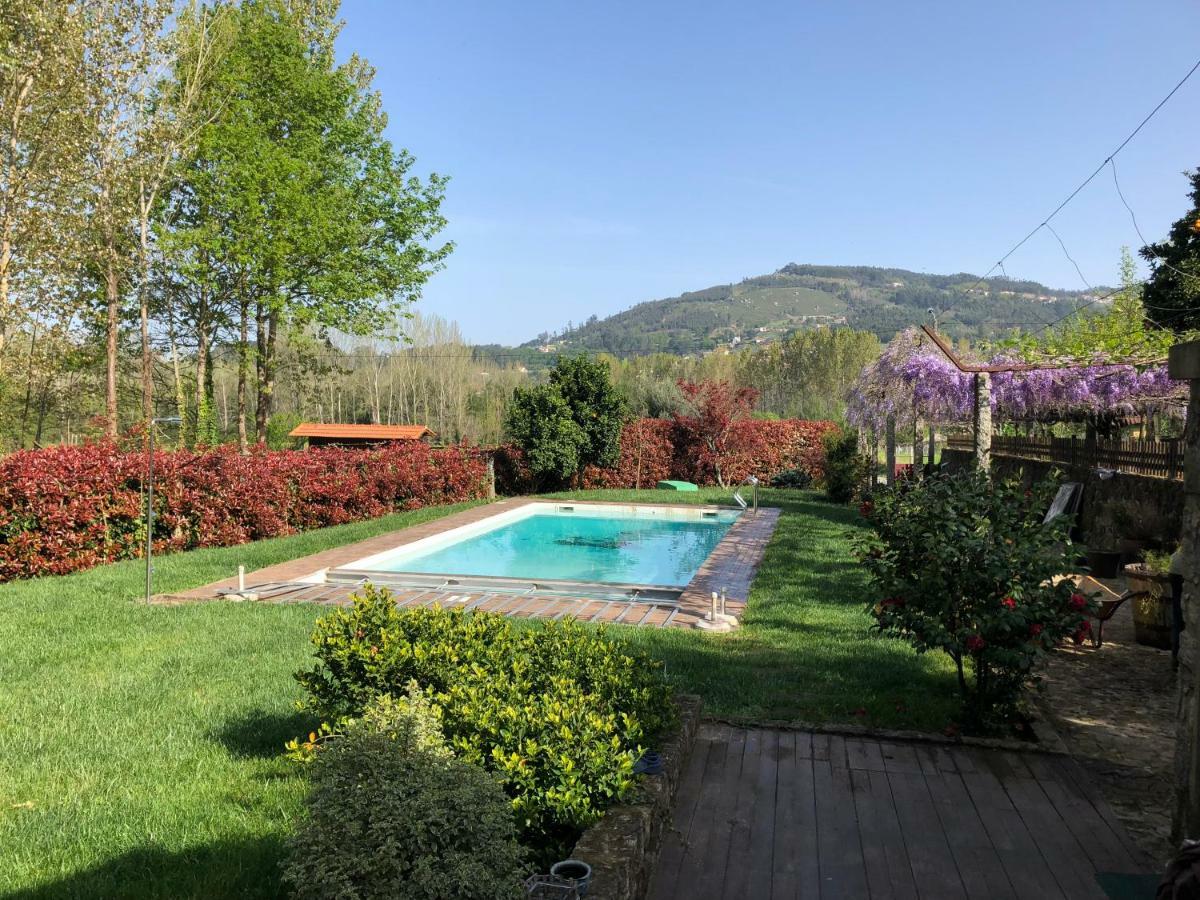 The Olive Tree Country * Vila Verde (Braga)