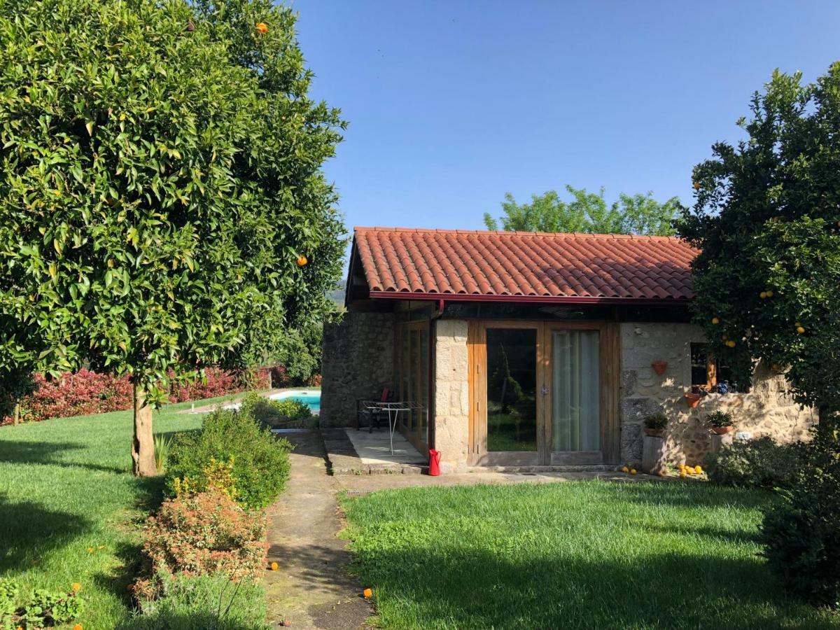 Farm stay The Olive Tree Country
